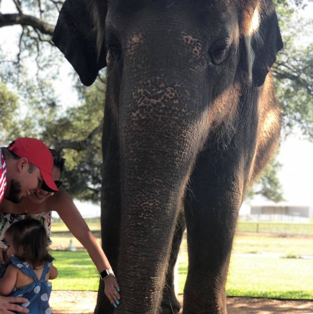 Meet your Posher, Abby